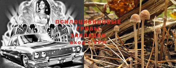 тгк Зеленодольск