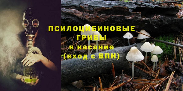 тгк Зеленодольск